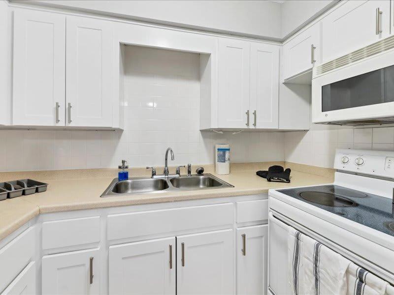 Appartement Designed And Cozy 1Br With Parking Near Stores à Tampa Extérieur photo